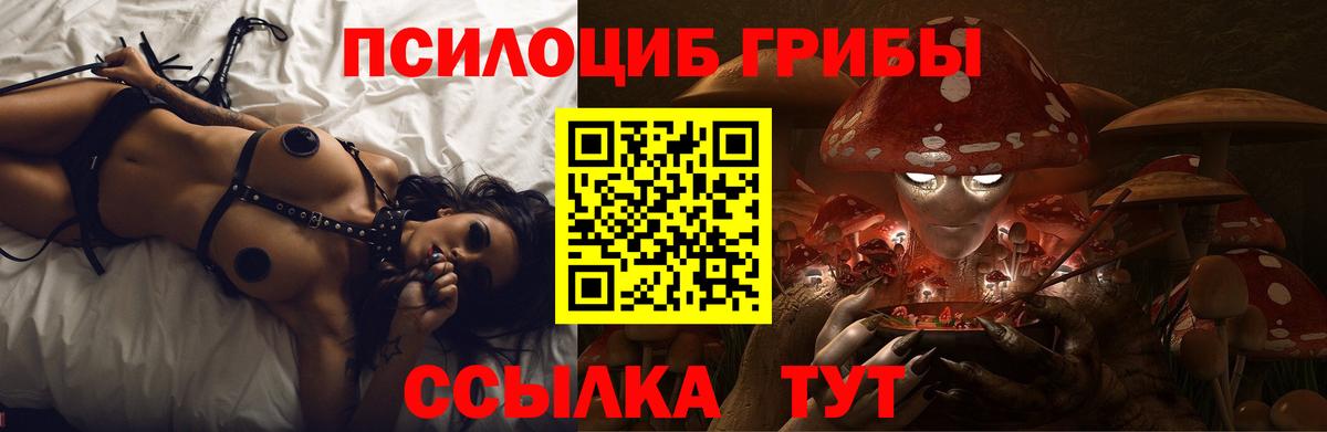 Псилоцибиновые грибы Magic Shrooms  Псилоцибиновые грибы GOLDEN TEACHER  Надым  Вход с VPN 